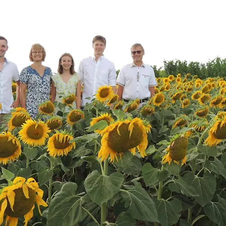 Weingut Bohrn Himmelbett Herrnbaumgarten