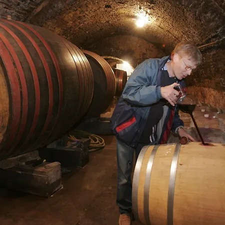 维古伯恩梅尔贝特旅馆 3*