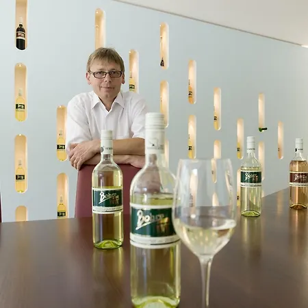 维古伯恩梅尔贝特旅馆 Herrnbaumgarten