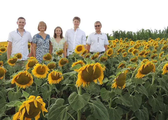 Weingut Bohrn Himmelbett Herrnbaumgarten