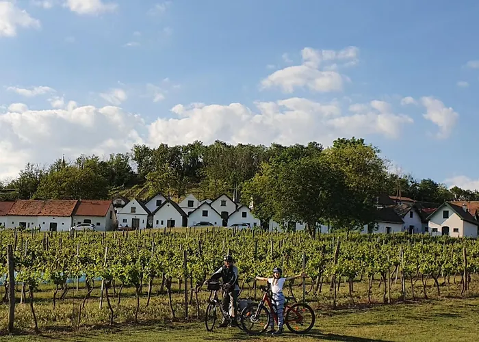 Guest house Weingut Bohrn Himmelbett 3*