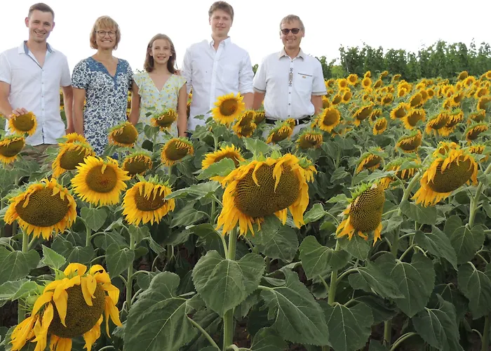 Weingut Bohrn Himmelbett Guest house